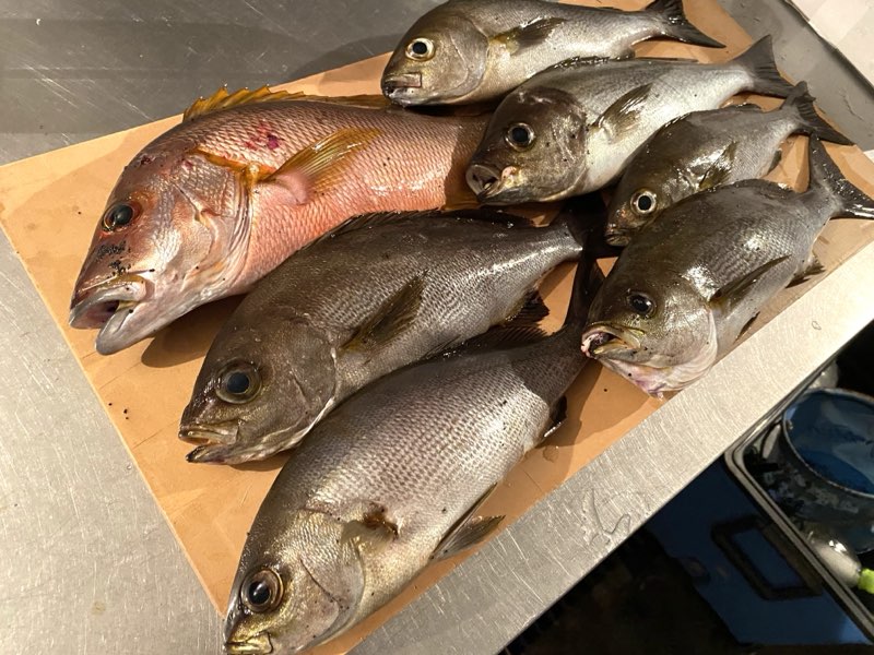 釣りのお客様へ